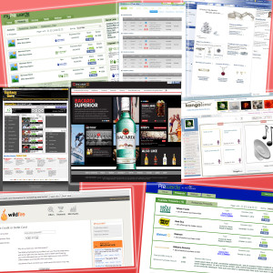 E-commerce Developer